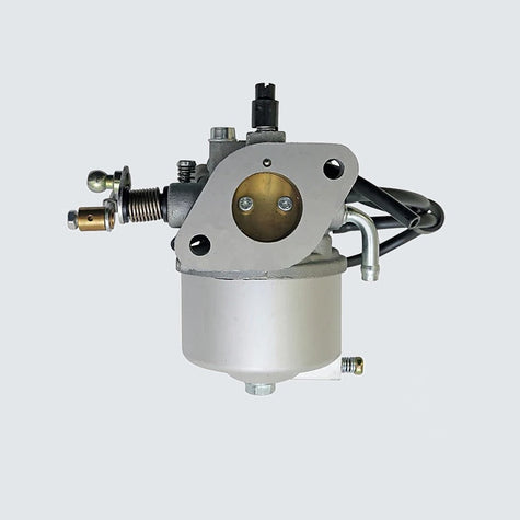 Golf Cart Fuel System