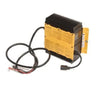 E-Z-GO Delta-Q 48V 18A QuiQ Charger for golf carts, showing the compact charger unit with E-Z-GO branding.