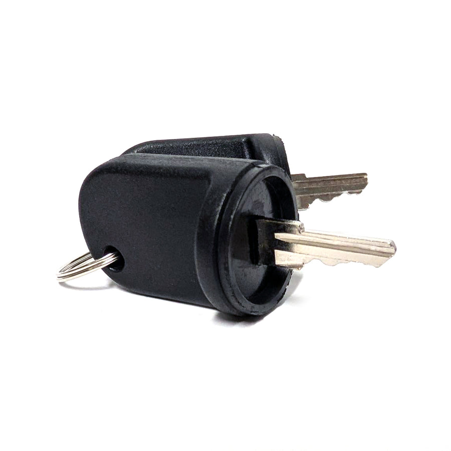 E-Z-GO RXV key set for golf carts, including replacement ignition keys and spare fleet kit with multiple keys.