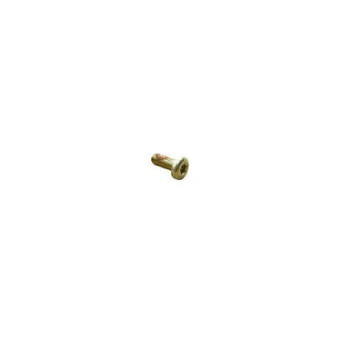 E-Z-GO OEM 01037G02 Pan Head Torx T25 Zinc Plated Screw for golf carts, durable fastener with a pan head design