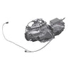 EZ-GO OEM 680364 150CC ISG EFI Gas Engine For Golf Carts High Performance Upgrade - Rainier Parts
