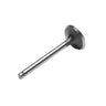 E-Z-GO Intake Valve OEM 603536 Replacement for Golf Carts Kawasaki TXT RXV 2008 Onward - Rainier Parts