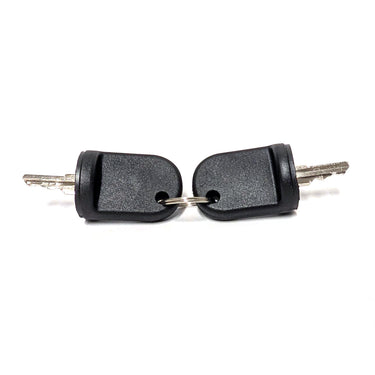 E-Z-GO RXV key set OEM 611282 for golf carts, replacement ignition keys, includes spare fleet kit, showing multiple keys on keyring.