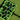 GreensGroomer 920E Electric Lift Greens Groomer With Premium Black Brushes For Pro Turf Maintenance